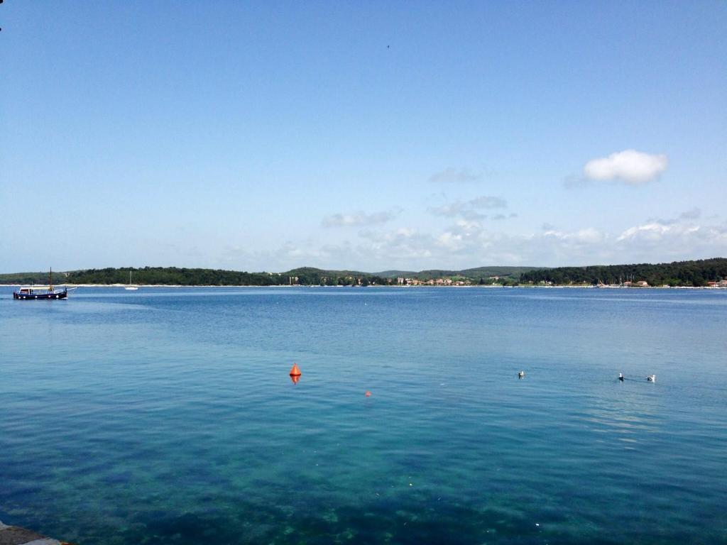 Casa Svalba Daire Rovinj Dış mekan fotoğraf